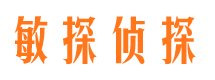 南和侦探公司